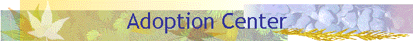 Adoption Center
