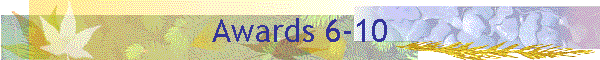 Awards 6-10