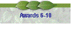 Awards 6-10