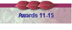 Awards 11-15