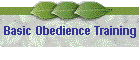 Basic Obedience Training