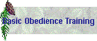 Basic Obedience Training