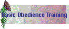 Basic Obedience Training