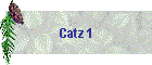 Catz 1