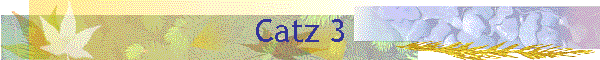 Catz 3