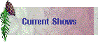 Current Shows