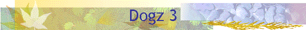 Dogz 3