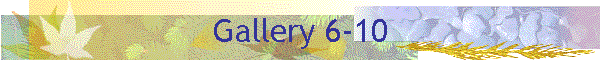 Gallery 6-10