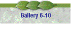 Gallery 6-10