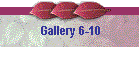 Gallery 6-10