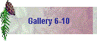 Gallery 6-10