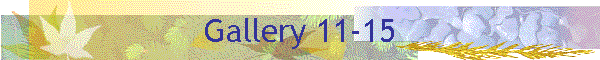 Gallery 11-15