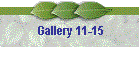 Gallery 11-15