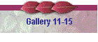 Gallery 11-15