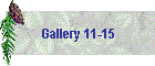 Gallery 11-15