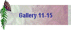 Gallery 11-15