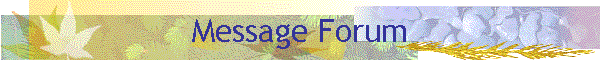 Message Forum