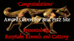 award10.gif (11830 bytes)
