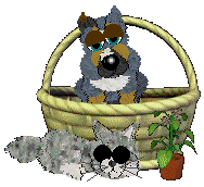 gallery12.gif (12448 bytes)