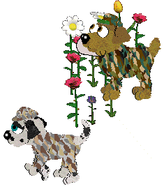 gallery13.gif (11993 bytes)