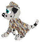 gallery15.gif (3482 bytes)