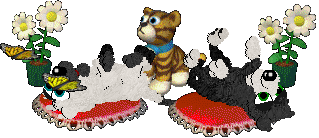 gallery2.gif (18858 bytes)