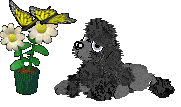 gallery3.gif (6428 bytes)