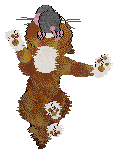 gallery4.gif (4934 bytes)
