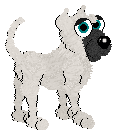gallery5.gif (4514 bytes)