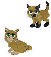 gallery8.gif (5587 bytes)
