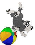 gallery9.gif (5686 bytes)
