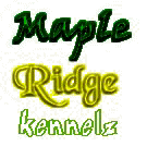 logo.jpg (7164 bytes)
