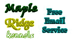 logofes.jpg (10947 bytes)